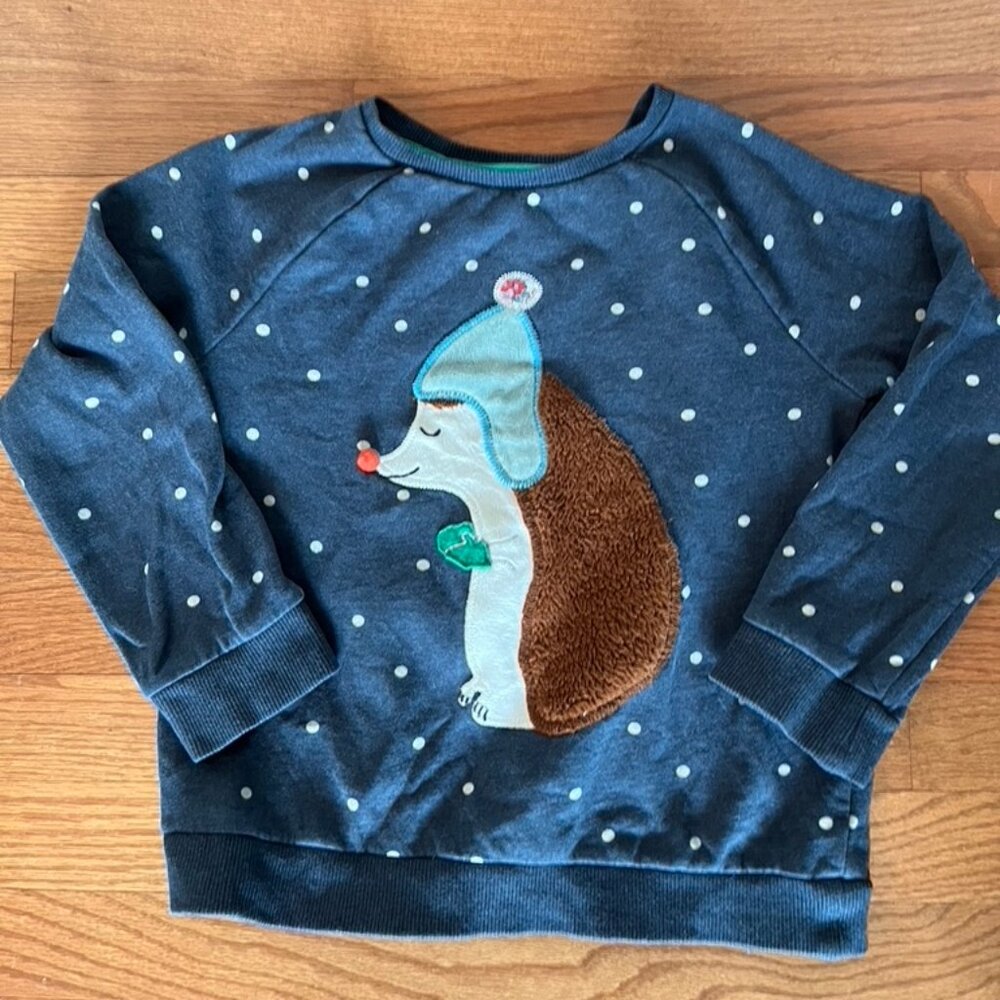 Mini Boden Hedgehog sweatshirt, size 8-9